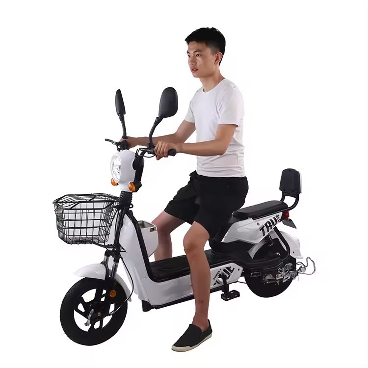 High Quality Electric Bicycle 350w 48v 12ah 14 Inch Recharging Time Best Ebike City Electric Bike for Adults