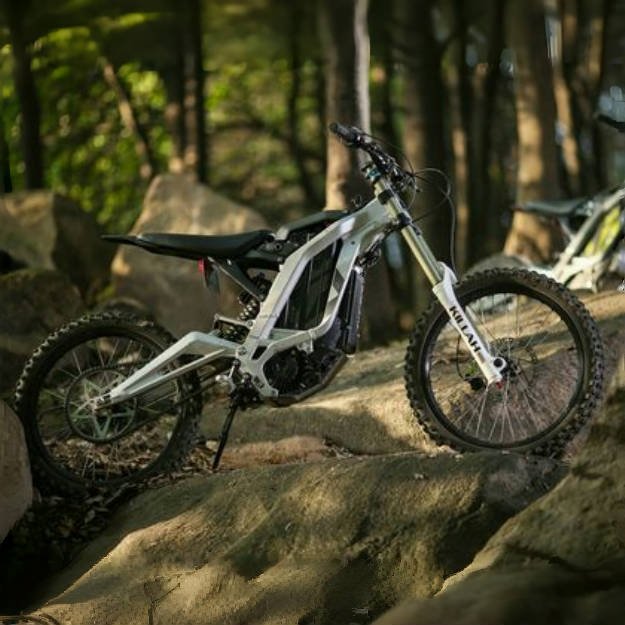 2024 Original Light Bee X Electric Dirt Bike