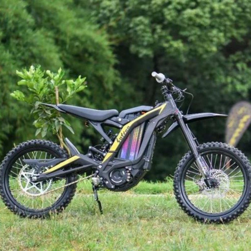 2024 Original Light Bee X Electric Dirt Bike