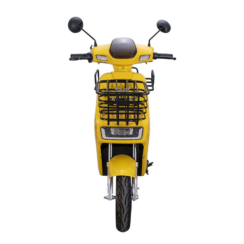 800W Food Delivery Electric Motorcycle Electric Cargo Bike Delivering Newspapers Electric Moped