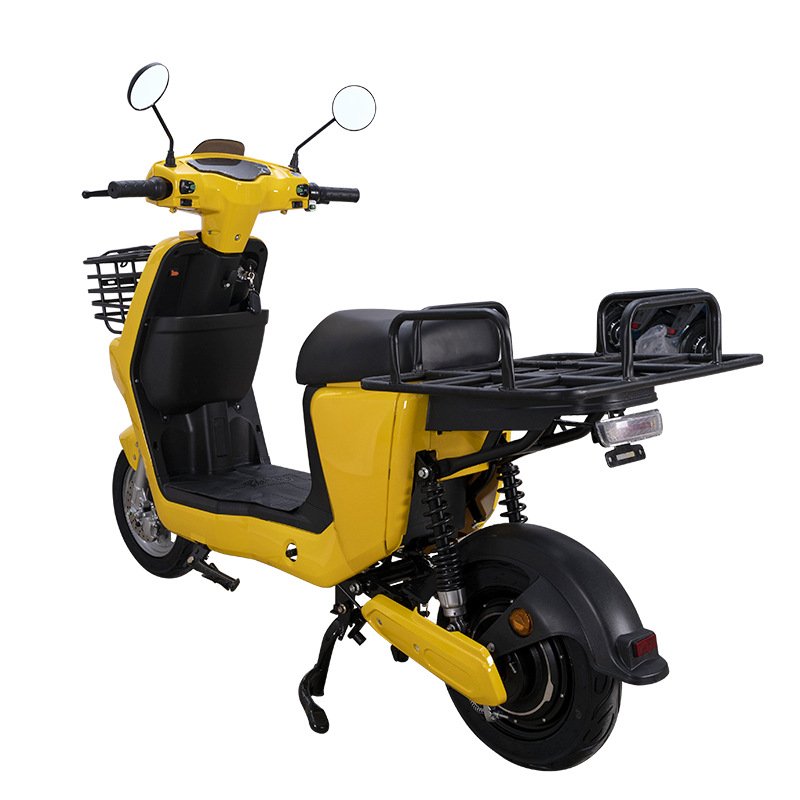 800W Food Delivery Electric Motorcycle Electric Cargo Bike Delivering Newspapers Electric Moped