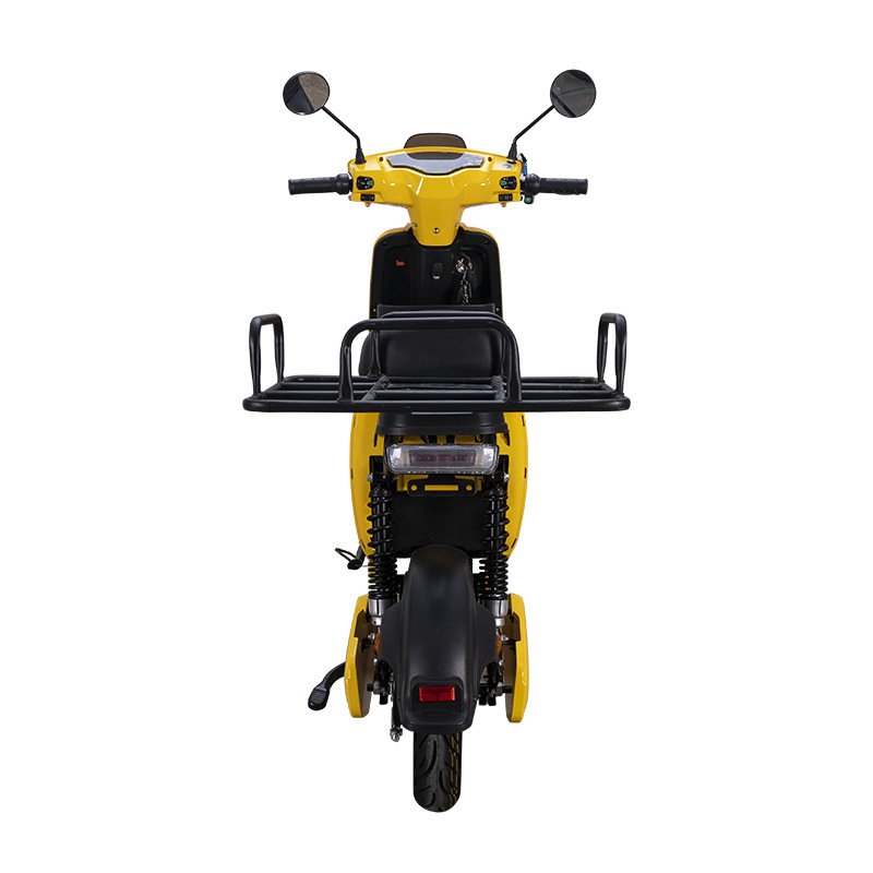 800W Food Delivery Electric Motorcycle Electric Cargo Bike Delivering Newspapers Electric Moped
