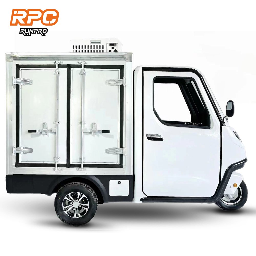 Electric Trike Moto Electrica Adulto Carros Electrico Electric Scooters for Adult EEC on Road Electric Cargo Tricycles