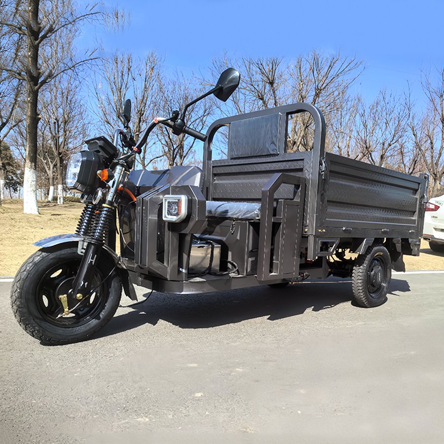 Cheaper Strong Power Electric Tricycles 3 Wheel Electric Cargo Bike Minitype for Cargo