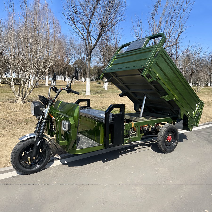 Cheaper Strong Power Electric Tricycles 3 Wheel Electric Cargo Bike Minitype for Cargo