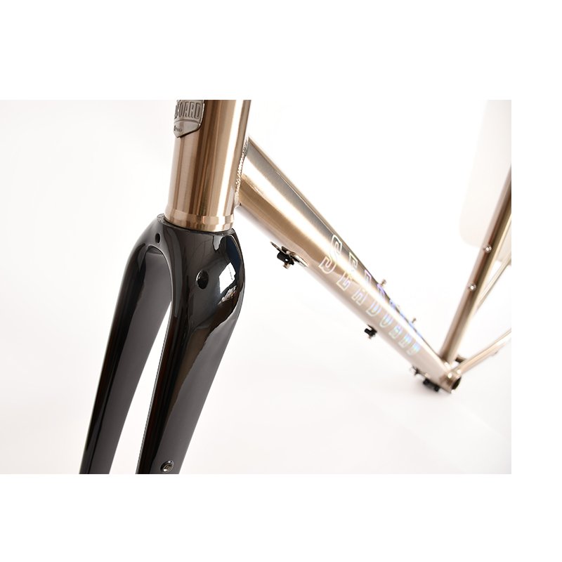 OEM Customizable Colors/Size 700C Frame Disc Brake Cylinder Shaft Off Road Highway Bicycle Steel Frame