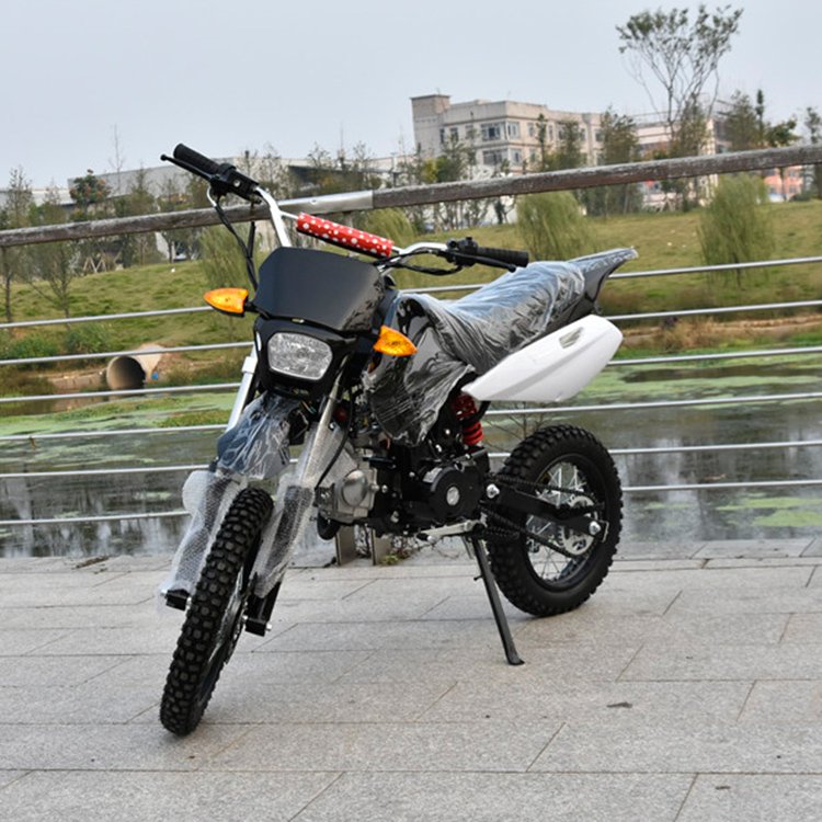 China Newest Design Dirt Bike 110CC for Sale