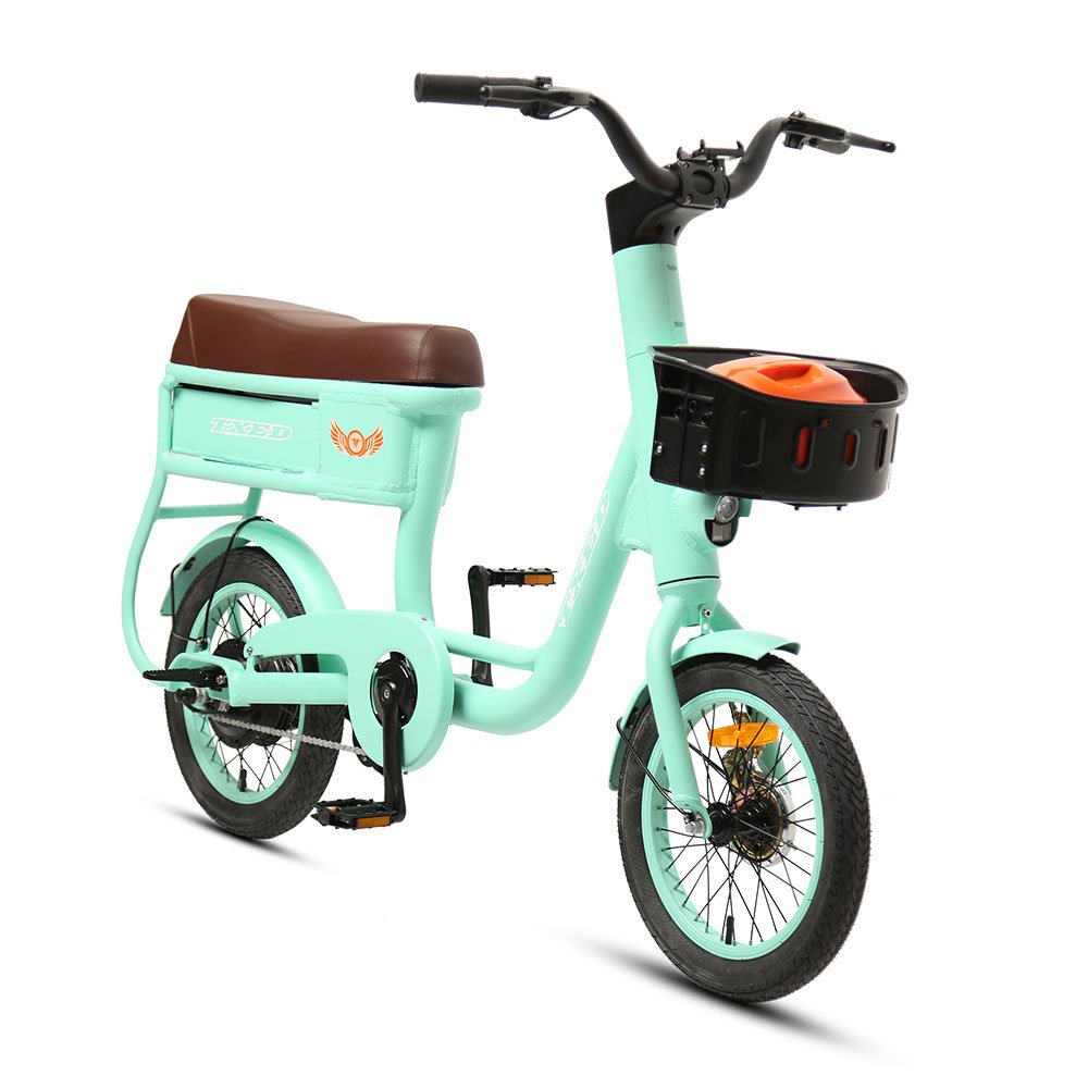 TXED Shared Bicycle with Helmet Lock for Two Riders 48V City Sharing Electric Bicycle