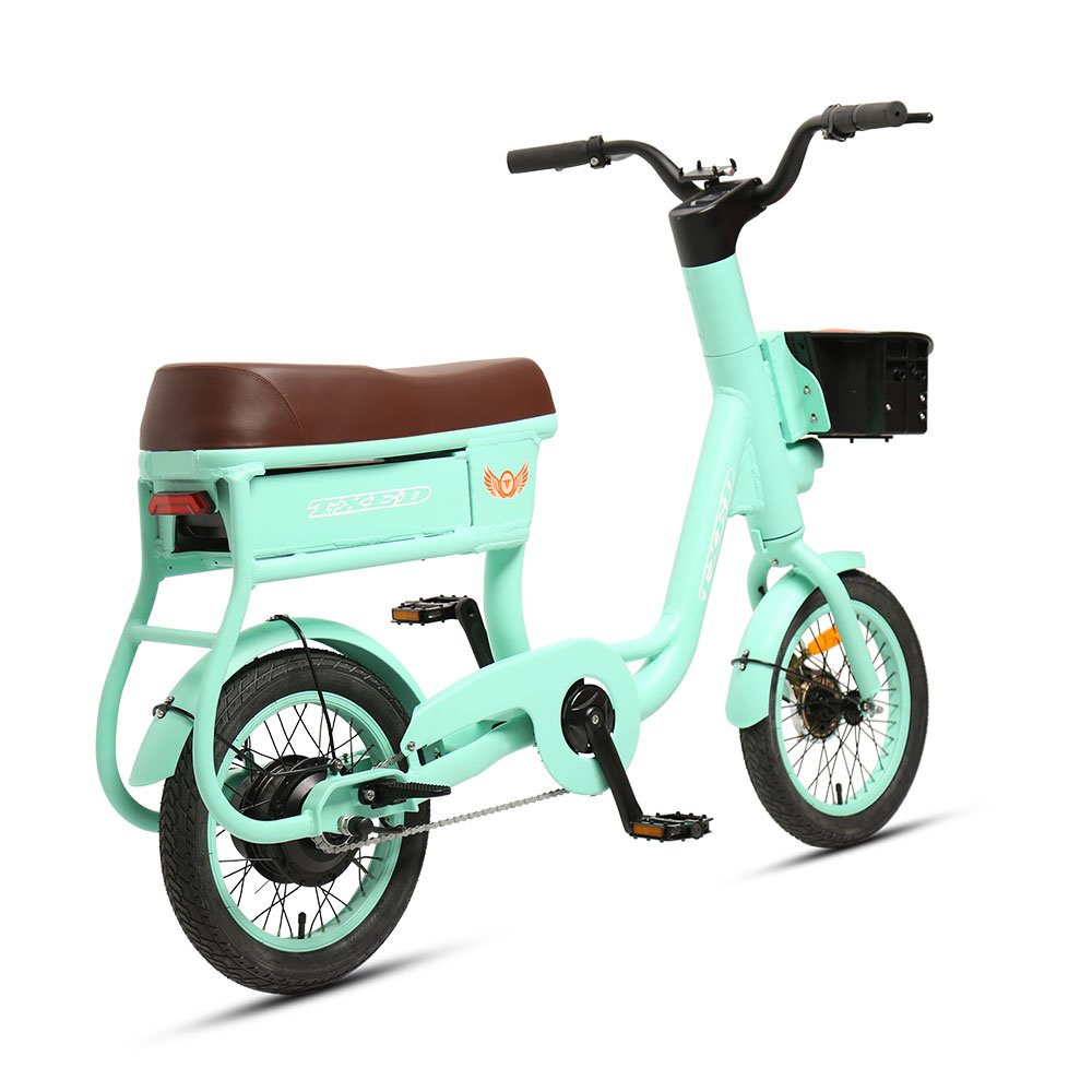 TXED Shared Bicycle with Helmet Lock for Two Riders 48V City Sharing Electric Bicycle