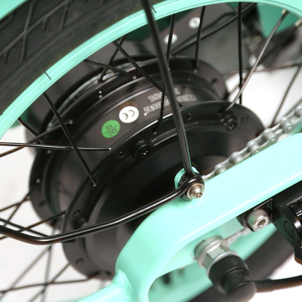 TXED Shared Bicycle with Helmet Lock for Two Riders 48V City Sharing Electric Bicycle
