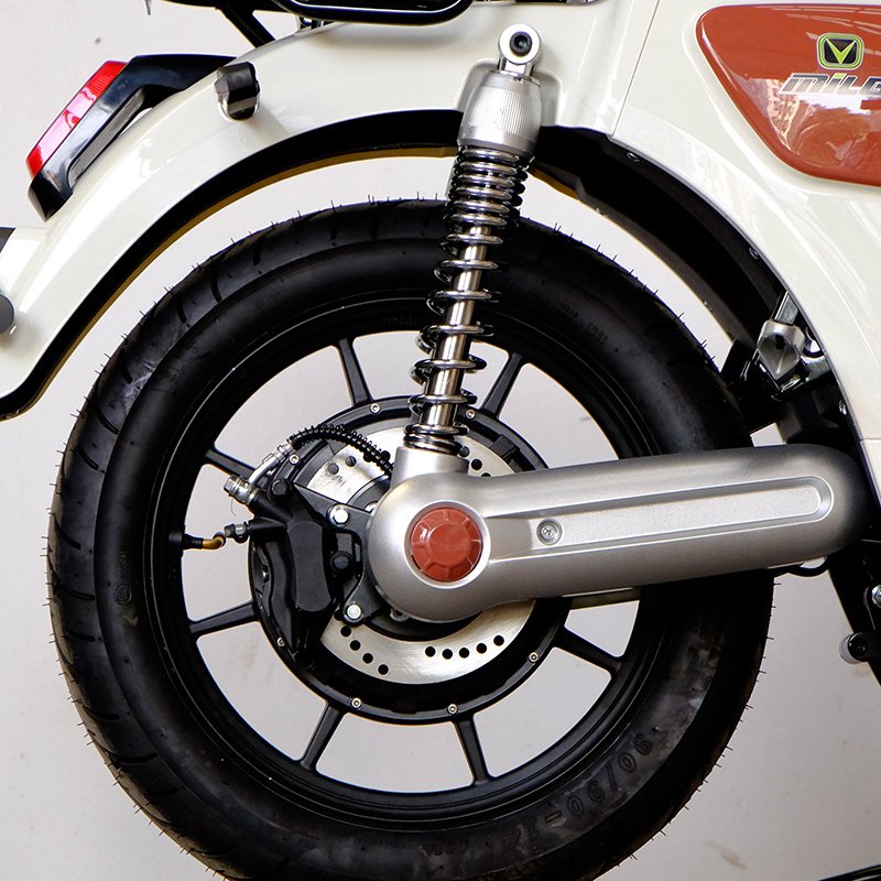 Front and Rear Drum Brakes E-bike Electric Bicycle 1000 Watt 60V