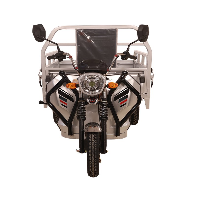 Big Power Electric Vehicle Tricycle Cargo Warehouse Use Electric Trike for Delivery Goods Home Tricycle