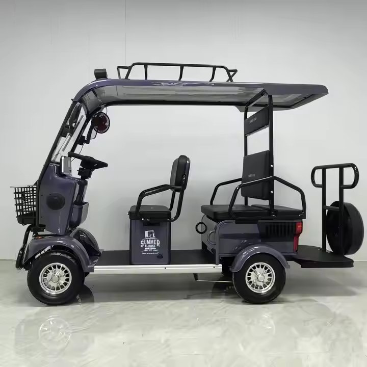 High Quality and Customizable With a Astern Video Instrument Four-wheeled, Six-seater Electric Bicycle