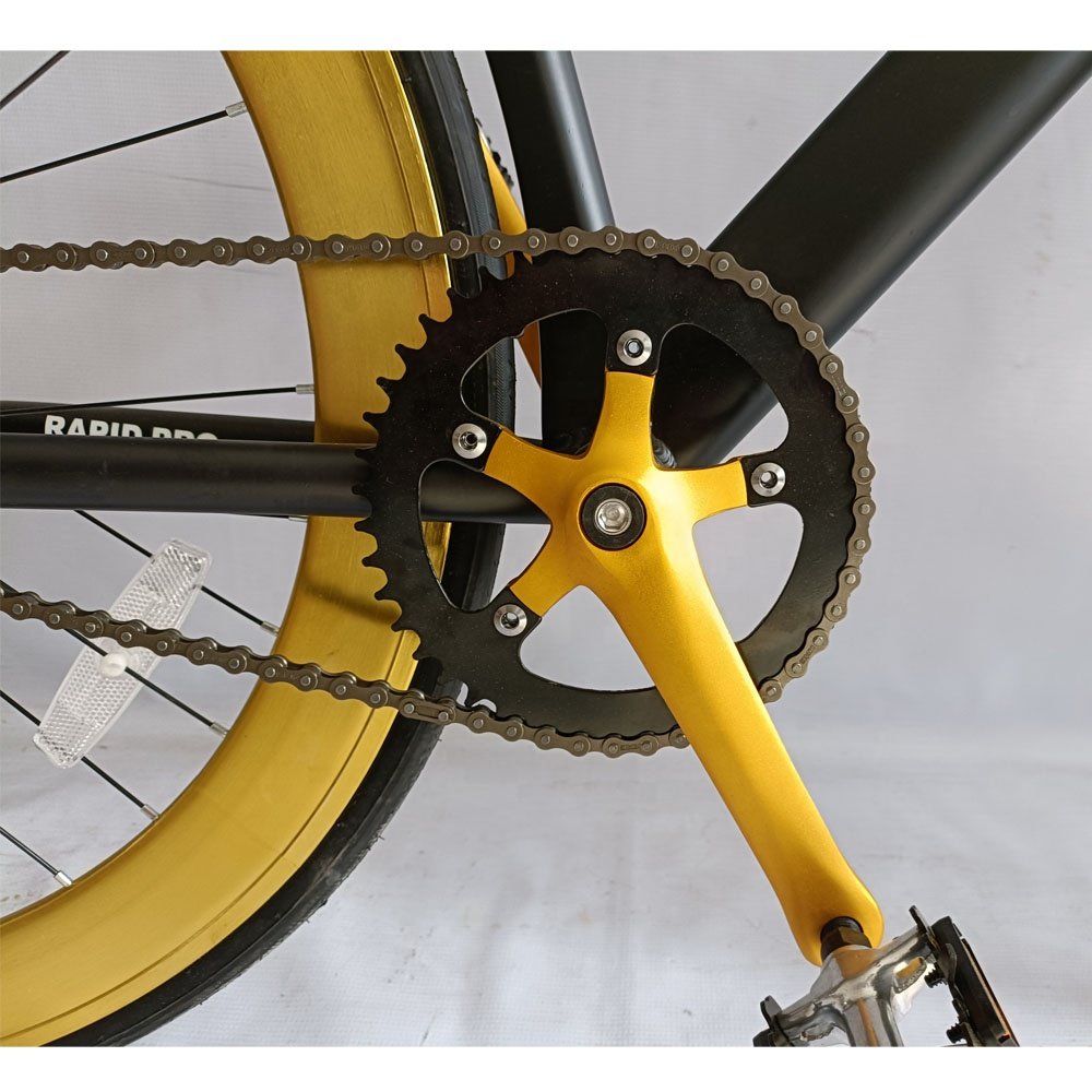 700C Flip-Flop Fixed Gear Bike(700C TRACK22-FP001)