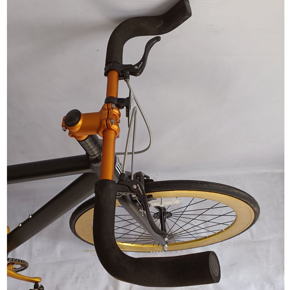 700C Flip-Flop Fixed Gear Bike(700C TRACK22-FP001)