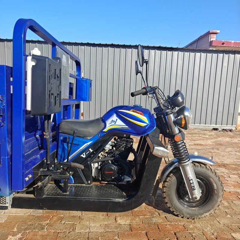 350cc Dump Cargo Motor Tricycle Load Tricycle Motorcycle 9 Wheels Tricycle for Freight