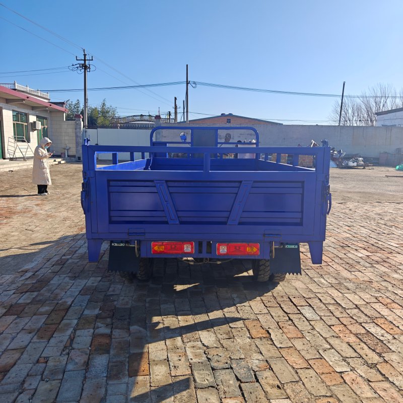 350cc Dump Cargo Motor Tricycle Load Tricycle Motorcycle 9 Wheels Tricycle for Freight