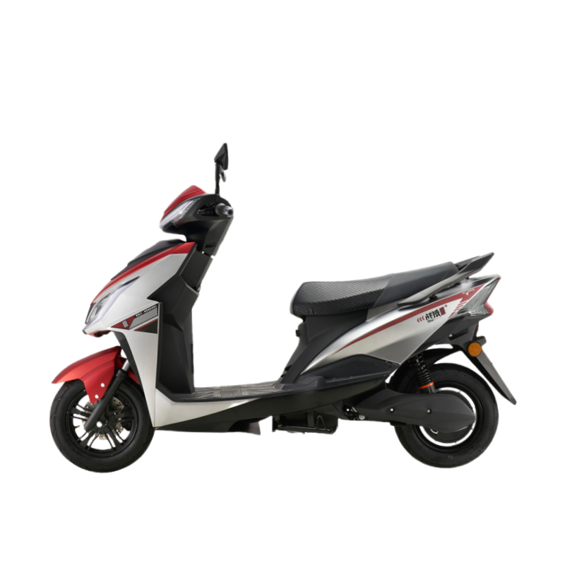 High-speed Disc Brake Scooter Electric Moped Steel Frame E Motorbike 2 Seat Mobility 1500w Adult Electric Bike Motorcycle