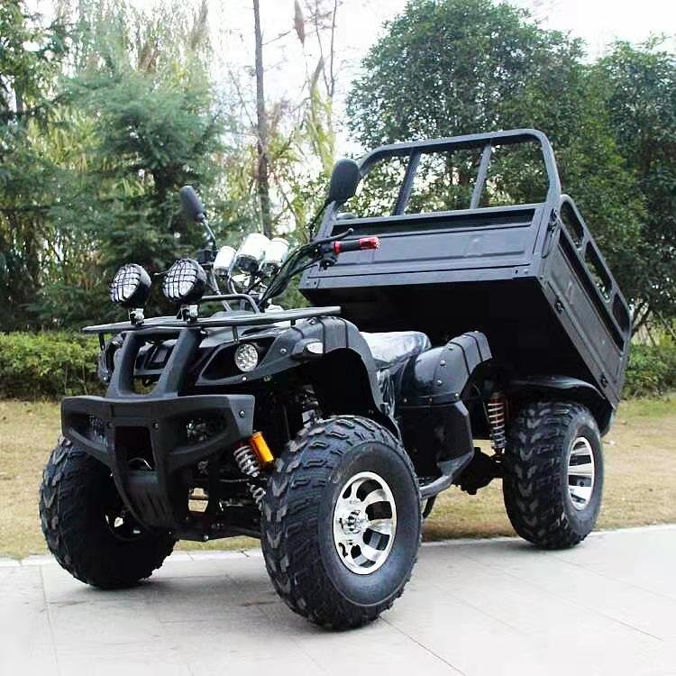 Farm 4x4 UTVs for Agricultural Usage 2*4 Practical Utility Vehicle and Car With Box