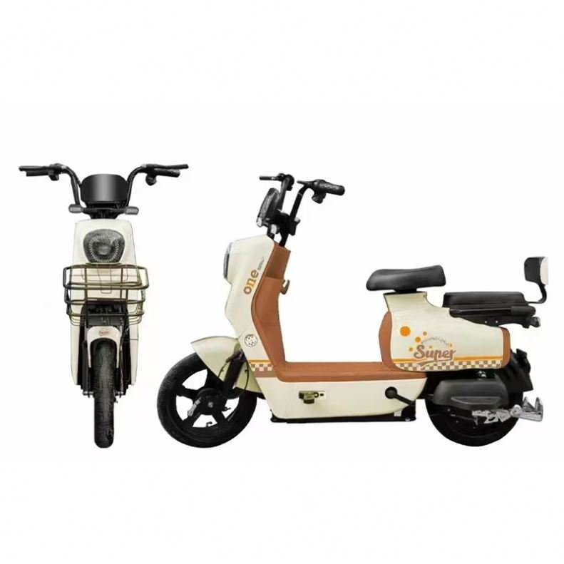 China Factory Low Step 14 Inch Ebike 48V Lead Acid Battery Electric Bike Bicycle 500W