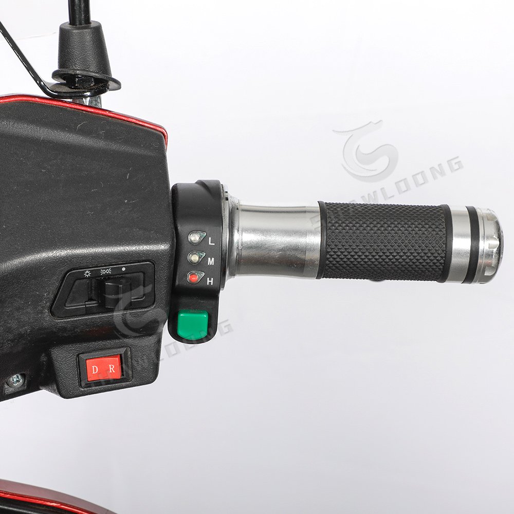 3 Wheel Open-Type Electric Mobility Scooter 48V 500W Trike with LED Without Battery
