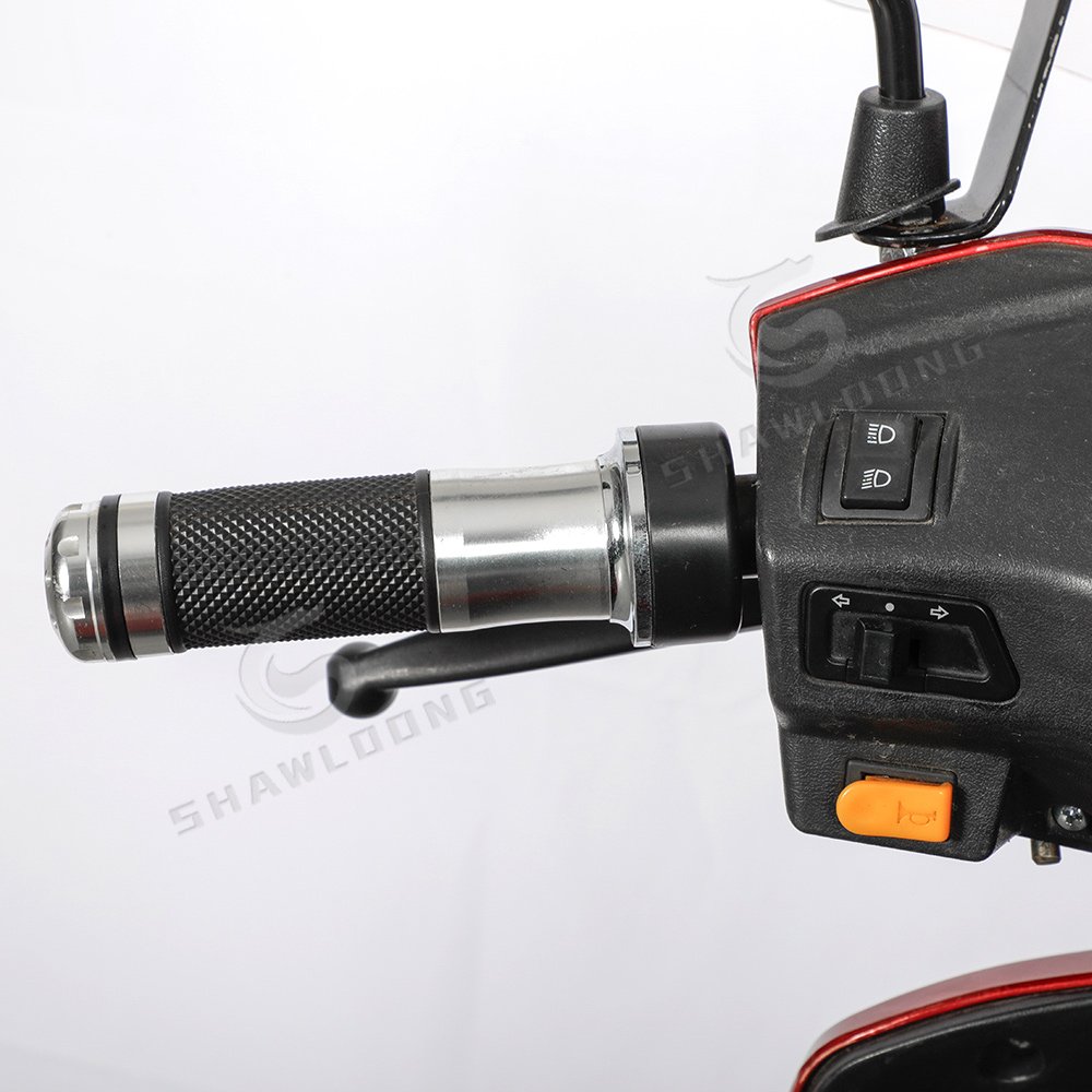 3 Wheel Open-Type Electric Mobility Scooter 48V 500W Trike with LED Without Battery