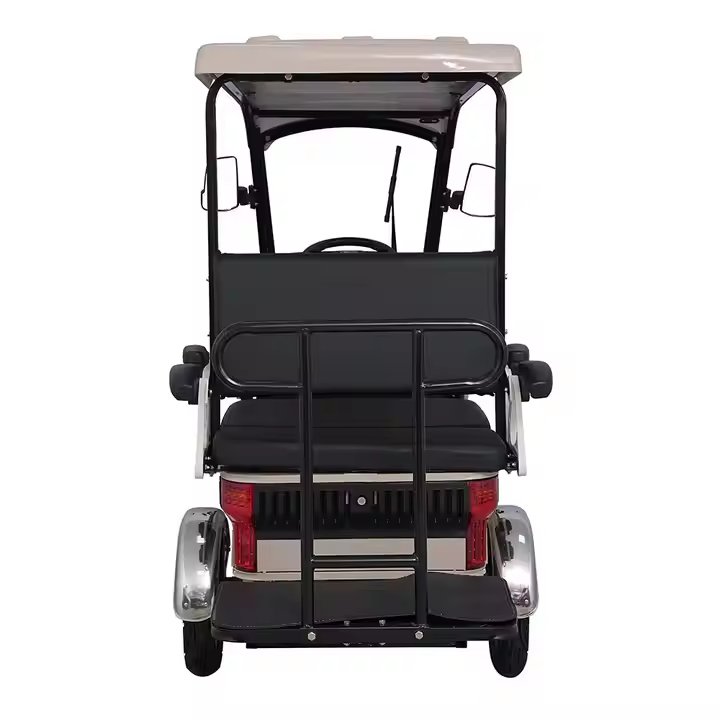 Hot-selling Mobility Scooter for Adults Colorful Colors Six Large Capacity Storage Space Optional Accessories E Bike 4 Wheels