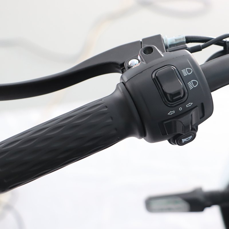 Low Price Electric Motorbike Powerful Disc Brake & Drum Brake Lead-acid Battery Electric Scooter Electric Moped