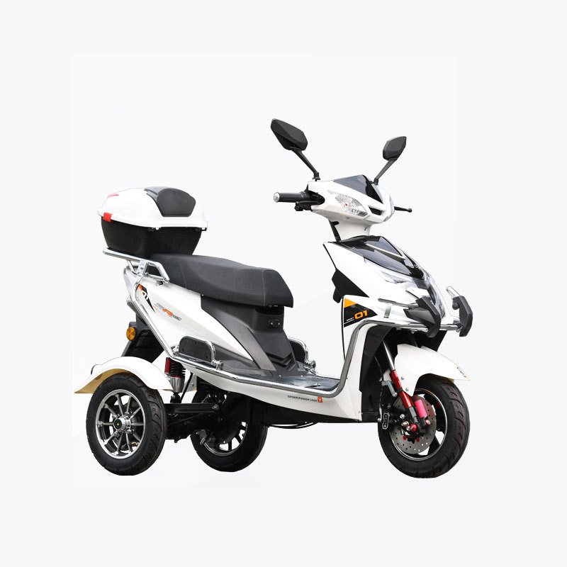 Low Price 48V 3 Wheel Electric Bicycle Personal Electric Vehicle for Adults