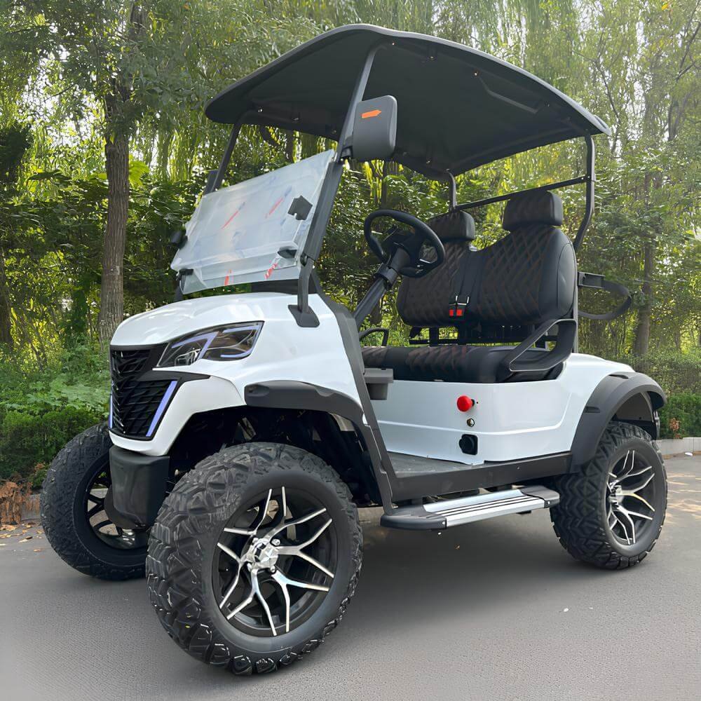Chinese Folding Electric Golf Carts Cheap Prices Buggy Car for Sale Maintenance Gas Pickup Golf Cart
