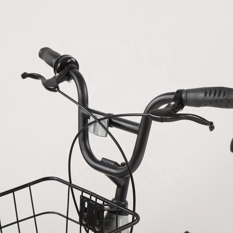Europe Standard Dutch Style Classic Bike City Bicycle Lady Bicycle /OEM Public Sharing Bike Made in China/cheap Retro Bikes