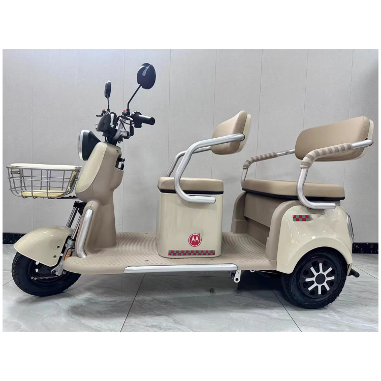 Hot Sale 2 Row Electric Scooter for Elder Carry Cargo Household 800W 3 Passengers Cargo Electric Tricycle 48V600W Moped Scooter