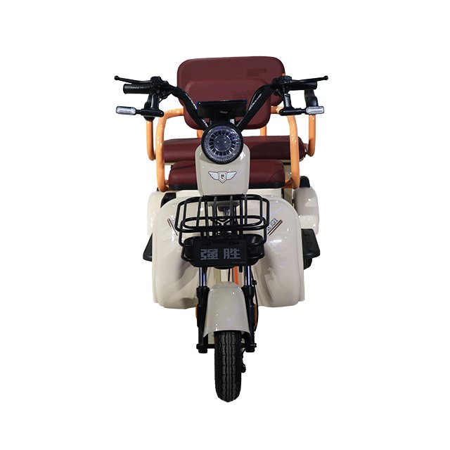 48V E Trike Popular Green Energy 3-Wheel Cargo Tricycle Double Rear Drum Brake Steel Roof Open 500kg Load Electric Motor Factory