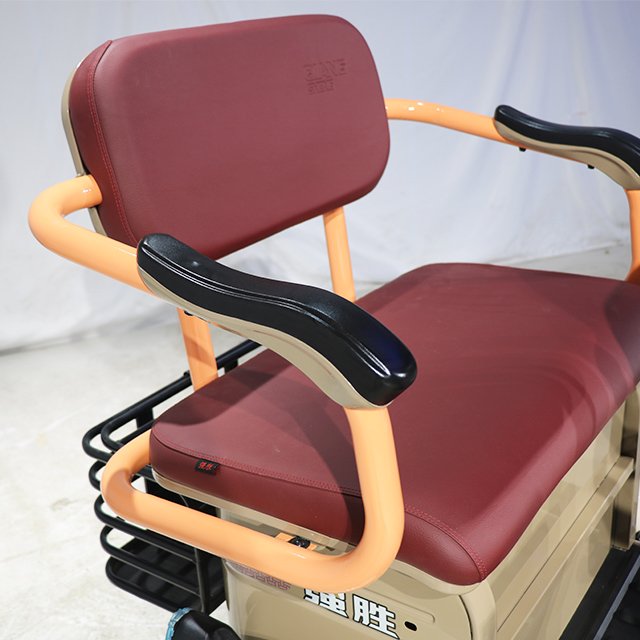 48V E Trike Popular Green Energy 3-Wheel Cargo Tricycle Double Rear Drum Brake Steel Roof Open 500kg Load Electric Motor Factory