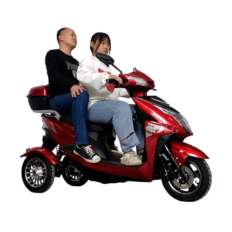 1000w 60v 3wheel Bike Adult Bicycle Electric Tricycle Scooter Steel Moped Adult 800w Trikes 3 Wheel Motorcycle Open Passenger