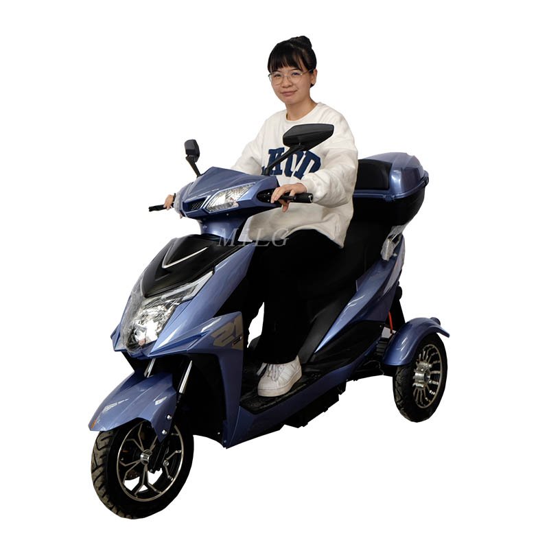 1000w 60v 3wheel Bike Adult Bicycle Electric Tricycle Scooter Steel Moped Adult 800w Trikes 3 Wheel Motorcycle Open Passenger