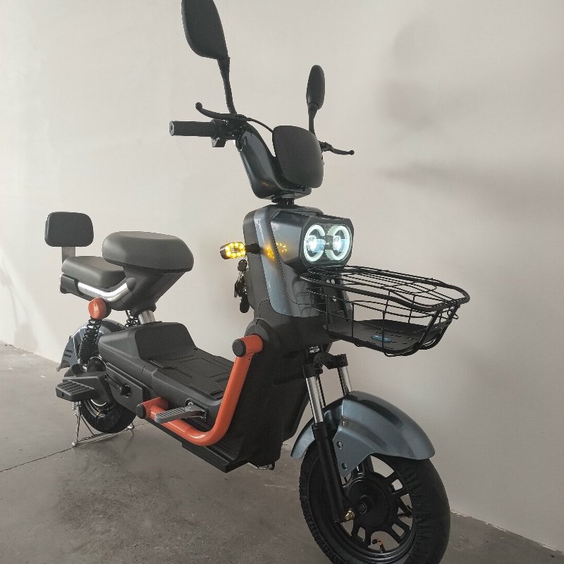 Electric Two-wheeler Wholesale E Bike E Bicycle 500W Electric Bike Electric Bicycle With 48V/60V Lead- Acid Battery for Adults