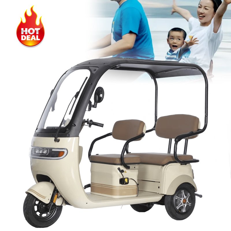 Factory Price Open Type Electric Tricycles 3 Wheel Electric Cargo Bike Three Wheels Tricycles with Roof for Adults