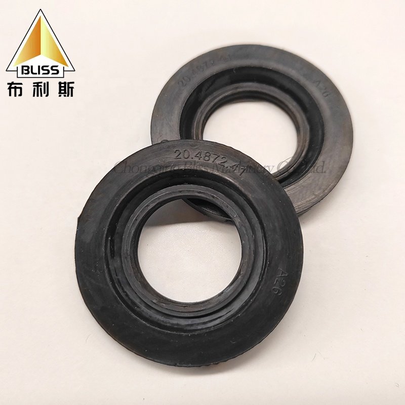 Caliper Dust Auto Brake Accessories Sport 20487241 Racing Brake Caliper Spare Parts China Cover Repair Kits
