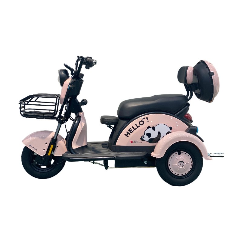 Electric Bike for Adults Has Low Price 3 Wheel Electric Tricycle Has High Speed Adult Electric Car Is Promoting