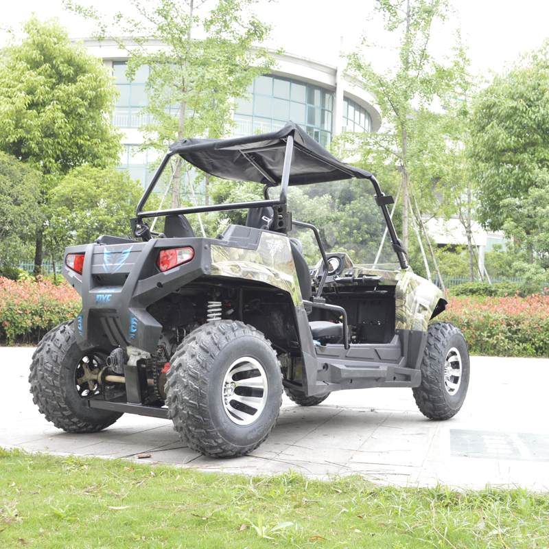 Wholesale 200cc 300cc 1000cc Cheap 2seater 500cc UTV Buggy with CE EAP