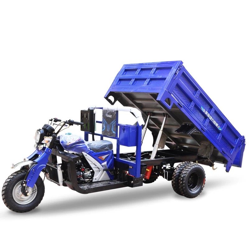 250cc Fuel-Powered Three-Wheeled Motorcycle Three-Wheeled Small Cargo