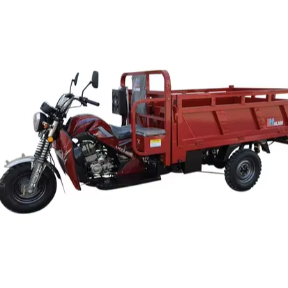 250cc Fuel-Powered Three-Wheeled Motorcycle Three-Wheeled Small Cargo