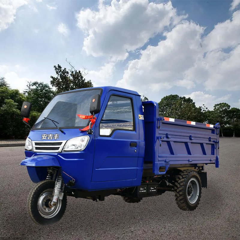 Tricycle Motorcycle Cargo Tricycle Car Moto Tricycle Taxi for Sale