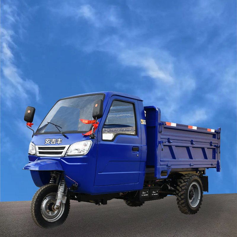 Tricycle Motorcycle Cargo Tricycle Car Moto Tricycle Taxi for Sale