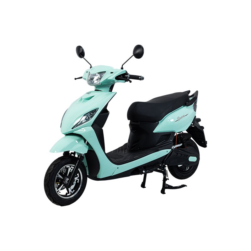 MS Kyrgyzstan 1000W 45 km/h Front Disc Brake and Rear Drum Brake Comfortable Type Electric Motorcycle Electric Bicycle