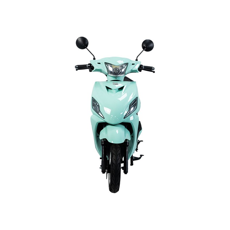 MS Kyrgyzstan 1000W 45 km/h Front Disc Brake and Rear Drum Brake Comfortable Type Electric Motorcycle Electric Bicycle