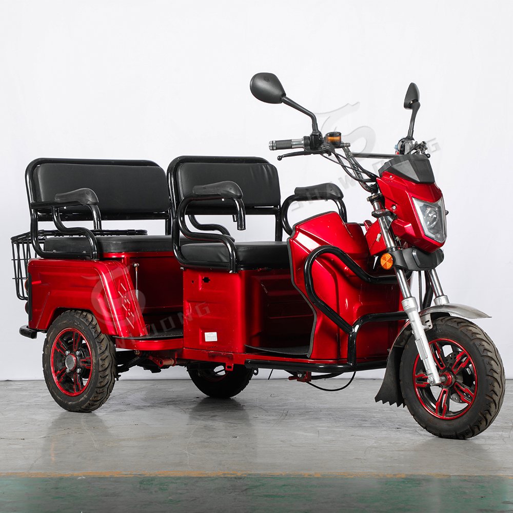 Electric Tricycle 3-Wheel Goods Bike with 650W Power EEC Certified