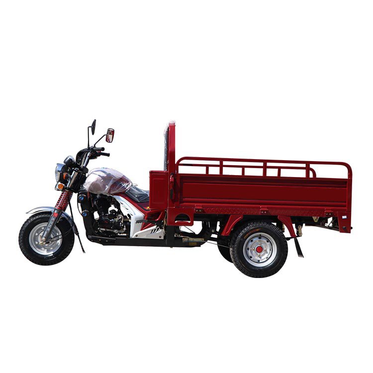 High Quality Three People City Gasoline Adult Tricycle for Sale