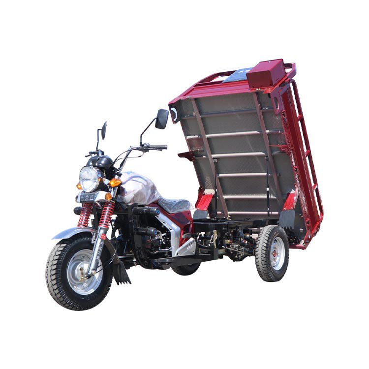 High Quality Three People City Gasoline Adult Tricycle for Sale